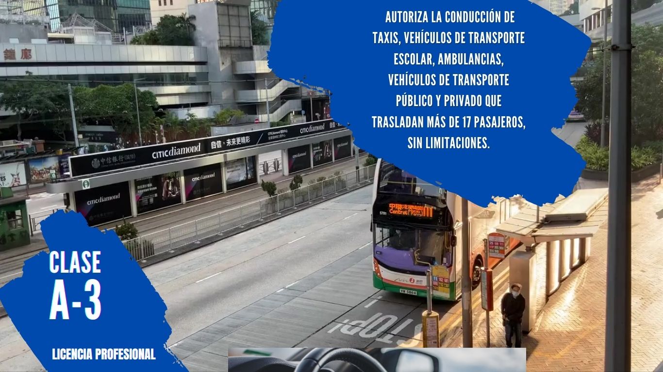 LICENCIAS PROFESIONALES (Sitio web) (5)